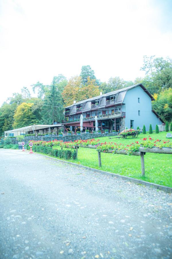 Hunter Vip Villa Reghin Luaran gambar