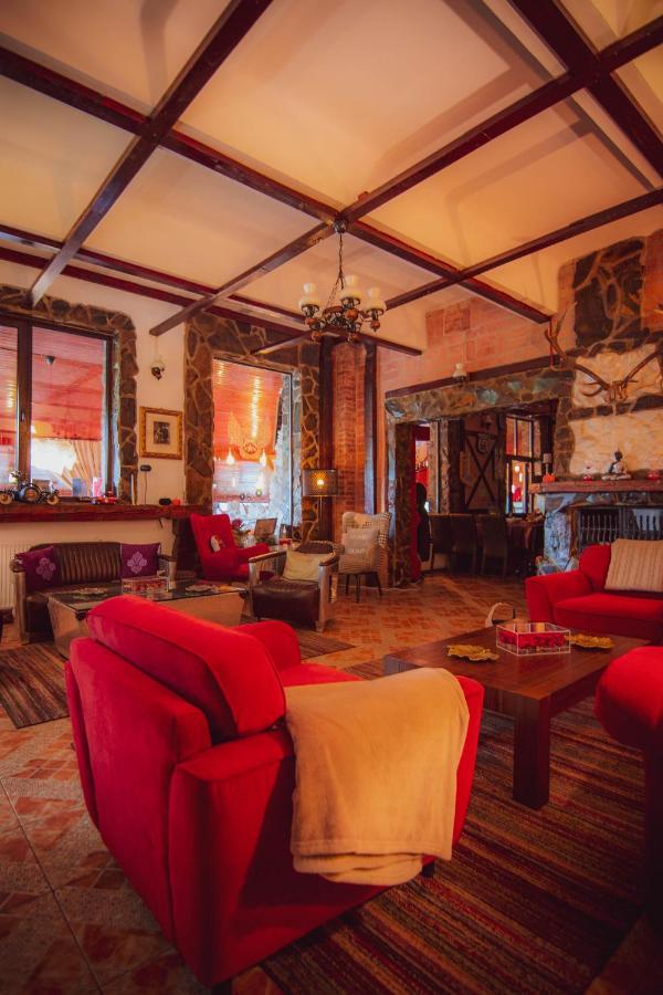 Hunter Vip Villa Reghin Luaran gambar
