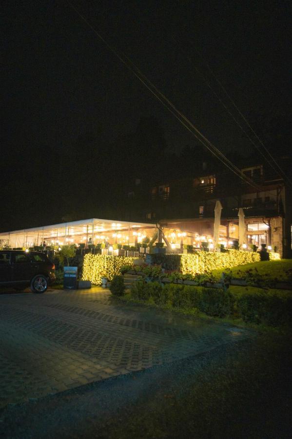 Hunter Vip Villa Reghin Luaran gambar